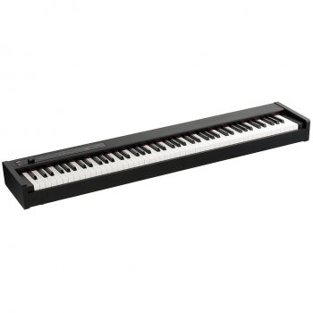 Korg D1 Stagepiano
