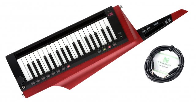 Korg RK-100S 2 Keytar Set Rot